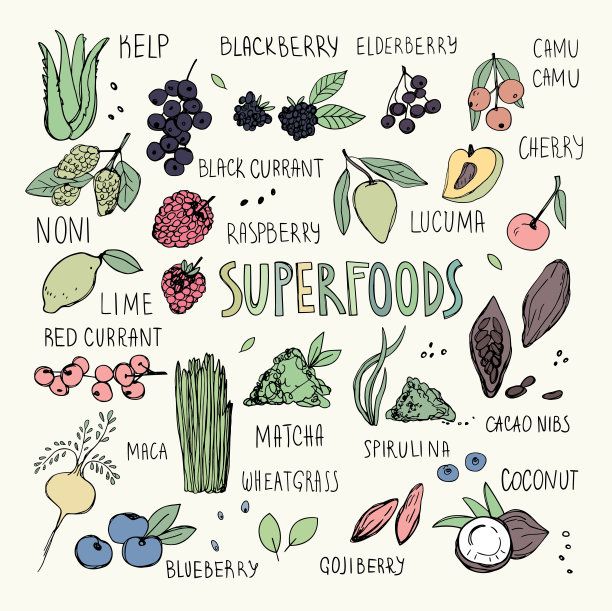 手绘超级食物收集。矢量图图片下载