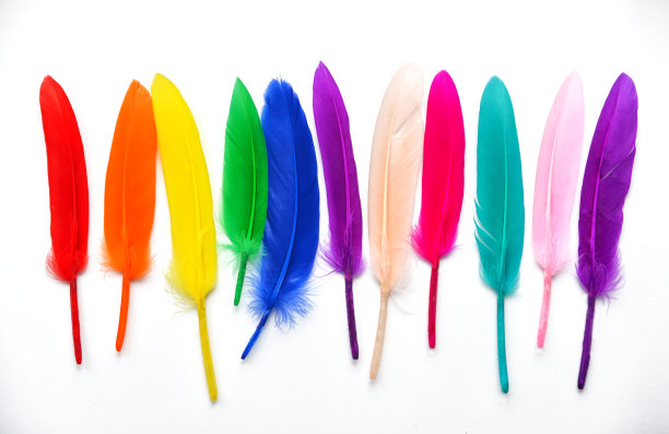 美丽的多色羽毛在白色的背景图片下载