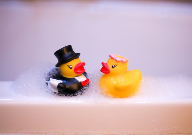 婚礼的鸭子图片下载