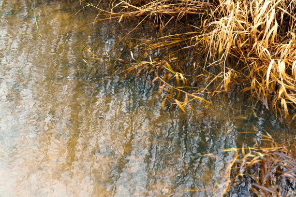 俄罗斯乡村旅游图片下载