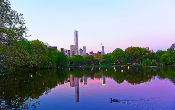 在中央公园，水面和鸭子反射出曼哈顿图片下载