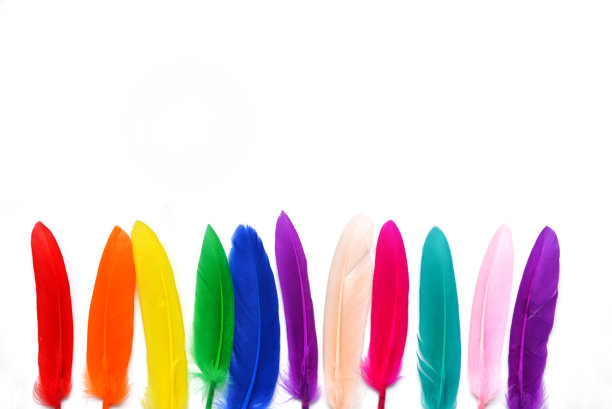美丽的多色羽毛在白色的背景图片下载