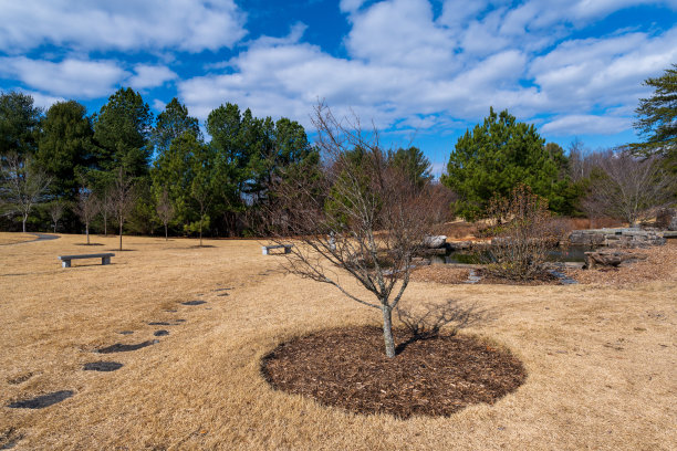 冬天的韩国花园图片下载
