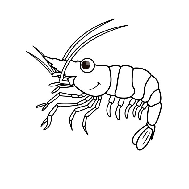 在白色背景上分离的虾的载体插图。儿童涂色书。图片下载