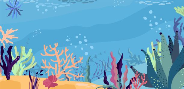 海洋中的水下世界。珊瑚礁，热带海底的动物群。平面卡通矢量插图。图片下载