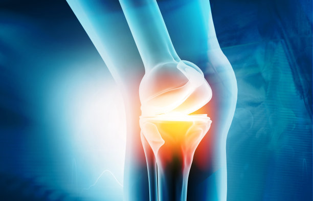 膝关节解剖图片下载