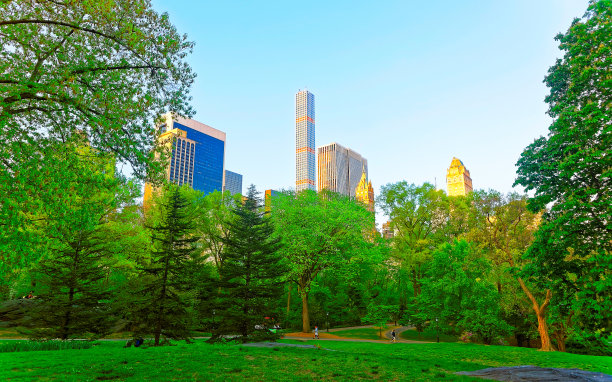 绿树和曼哈顿中城从中央公园南反射图片下载