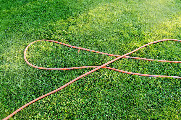 在一个阳光明媚的夏天，在修剪整齐的绿色草坪上浇水用的橡胶软管图片下载