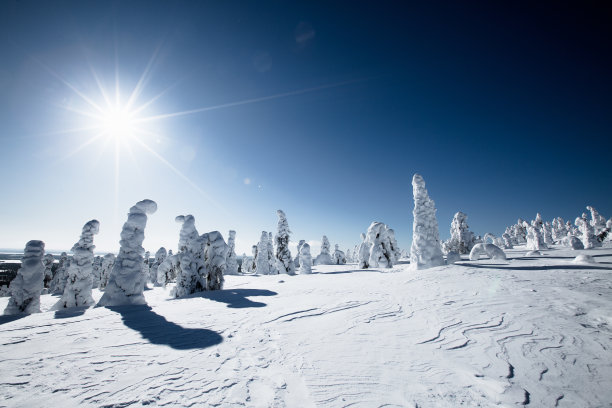 芬兰拉普兰冬天的阳光。图片下载
