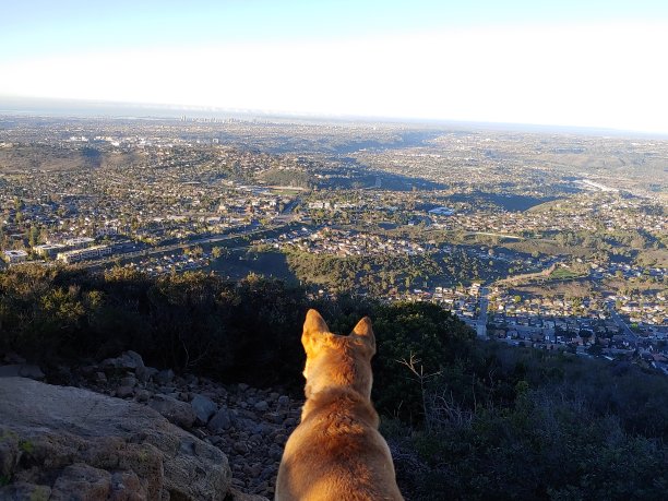 我的城市图片下载