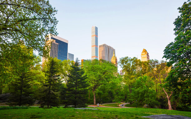 绿树和纽约南部中央公园的曼哈顿中城反射图片下载