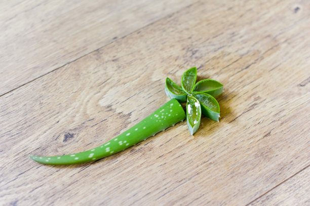 芦荟植物切片与芦荟凝胶为自然愈合和美容产品图片下载