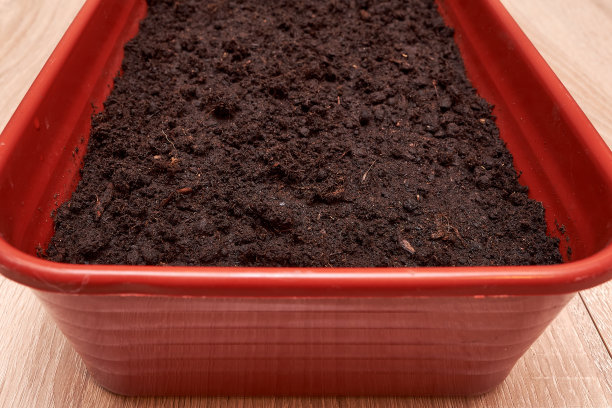 一个装着黑土的塑料盒子，是为春天在房子里的木桌上种植花卉和蔬菜的种子准备的。图片下载
