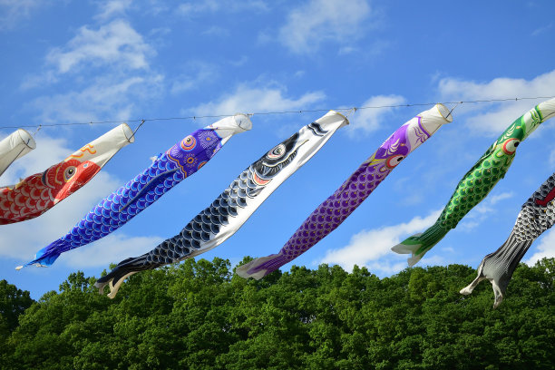 鲤鱼在天，日本事件图片下载