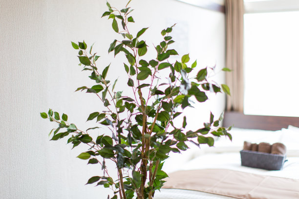 绿色装饰图片下载