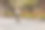 在一个阳光明媚的下午，一位年轻的拉丁美洲千禧一代女士骑车去上班时，她的平衡出现了问题。水平格式。图片下载