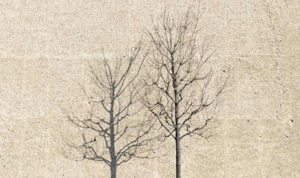 树影概念死亡时间混凝土墙纹理背景表面图案摄影图片下载