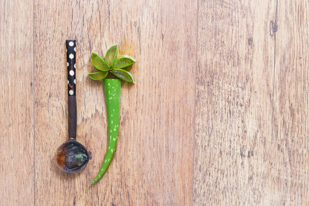 芦荟植物切片与芦荟凝胶为自然愈合和美容产品图片下载