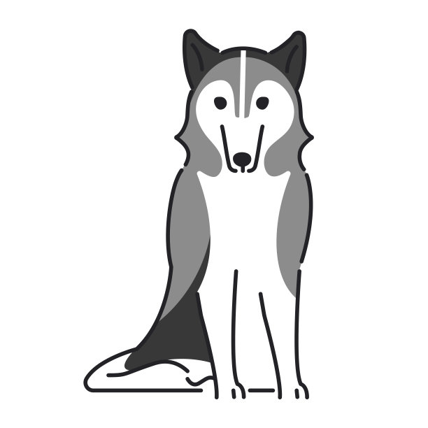 191007年dogs001图片下载