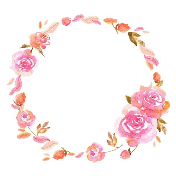 水彩手画粉红玫瑰在白色素材图片