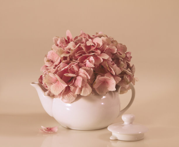 干花瓣茶壶图片下载