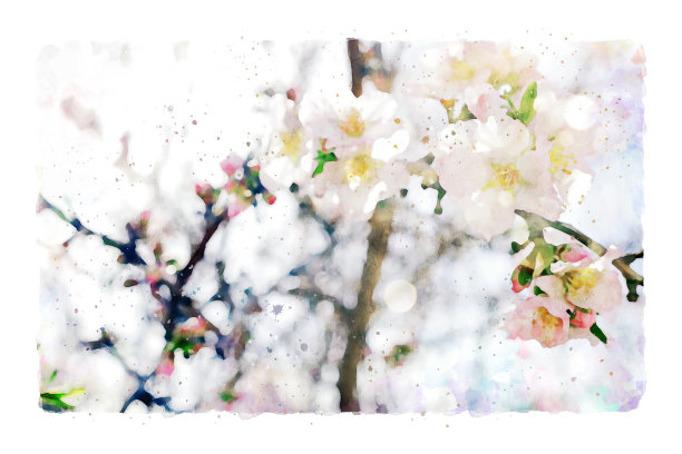 水彩风格和抽象形象的樱桃树花图片下载