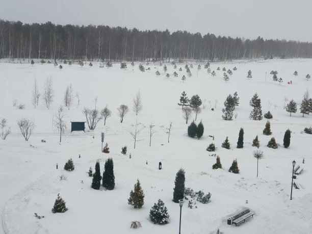 冬天的风景图片下载