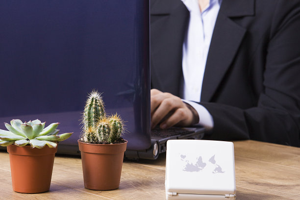 商业女性在办公室工作。企业、人、办公理念。图片下载