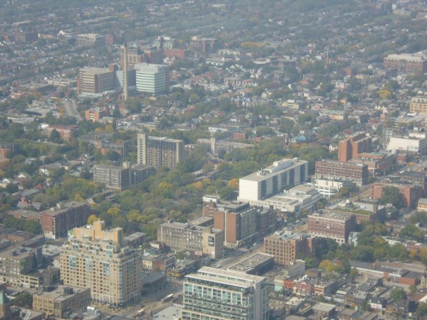 从高处俯瞰多伦多图片下载