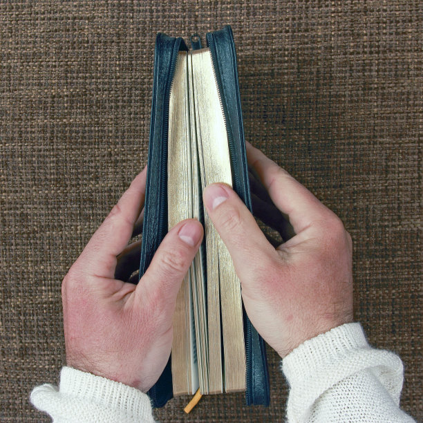 他手里拿着半打开的《圣经》图片下载