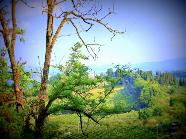 托斯卡纳的太阳。图片下载