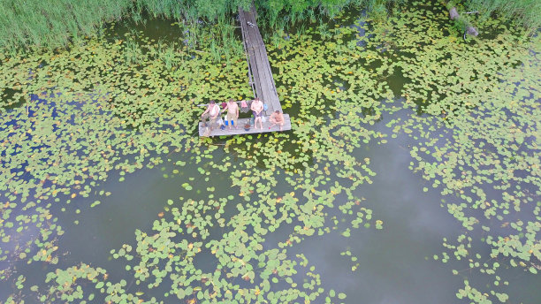 鸟瞰图的睡莲在一个黑色的水湖从上面看。几个人在码头钓鱼。图片下载