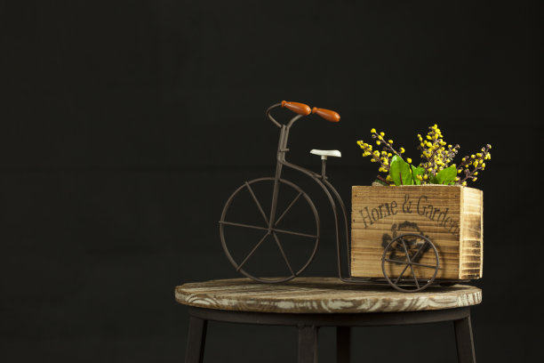 带花盒的自行车图片下载