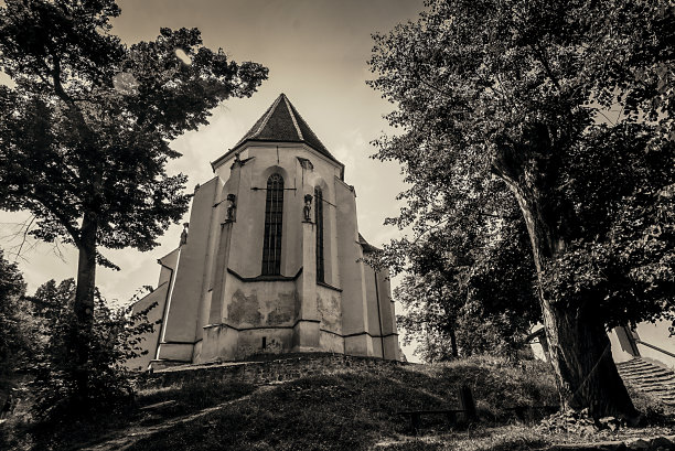 基萨·西西索拉图片下载