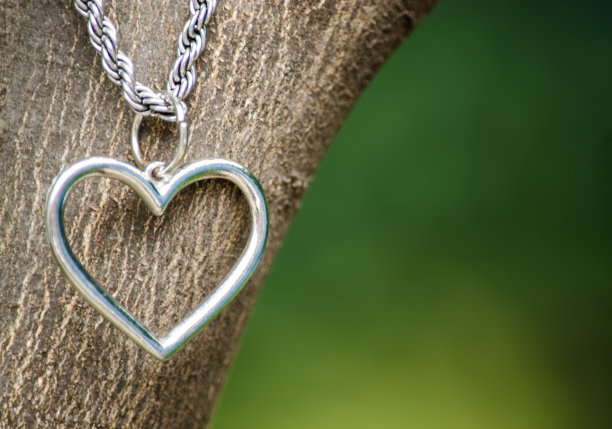 挂在树枝上的心形项链。庆祝情人节，妇女节，母亲节。图片下载