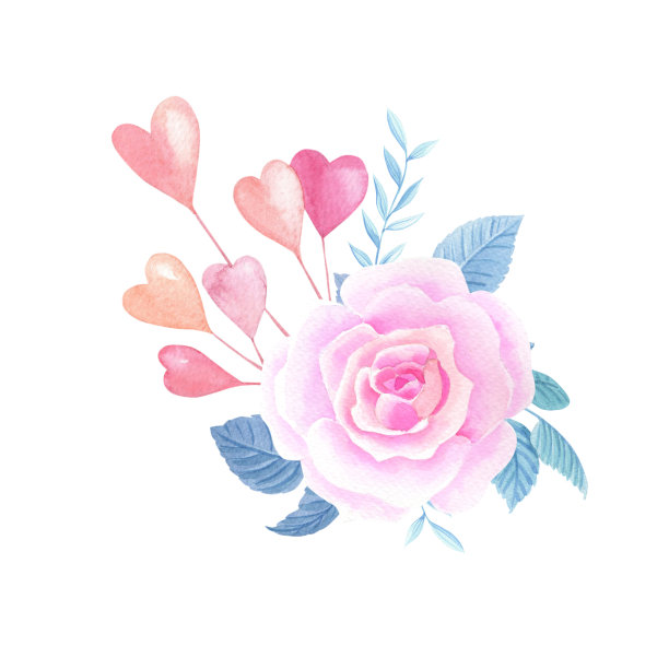 水彩粉色玫瑰,心。水彩情人节花组成在一个白色的背景。图片下载
