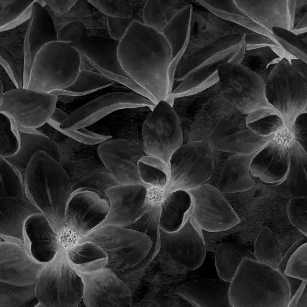 黑白美丽的木兰花无缝图案背景素材图片