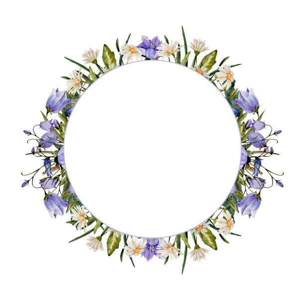 花水彩画框架(花环)的蓝铃草，甘菊和香草图片下载