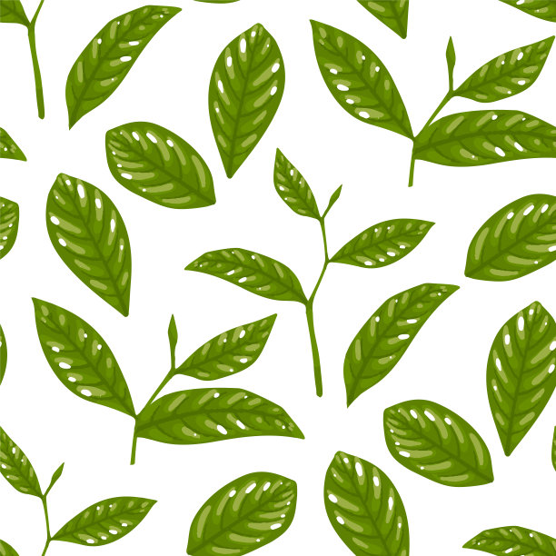 载体重复无缝模式的绿茶叶片。图片下载
