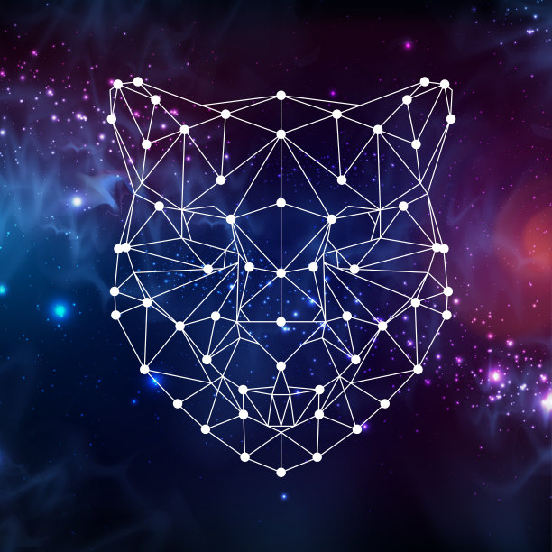 开放空间背景下的多边形三角动物猎豹。潮人动物插图。图片下载