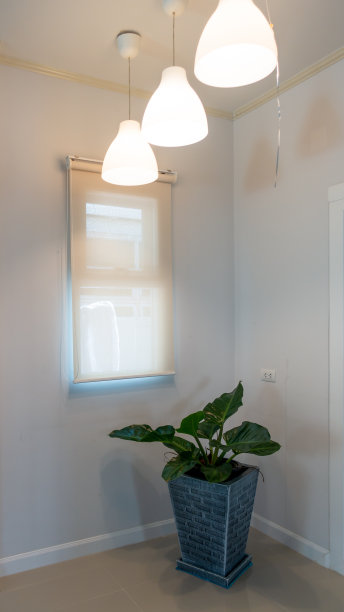 房间角落里的一个花盆。图片下载