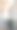 房间角落里的一个花盆。图片下载