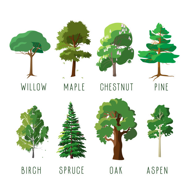 一组孤立的树木在夏季季节图片下载