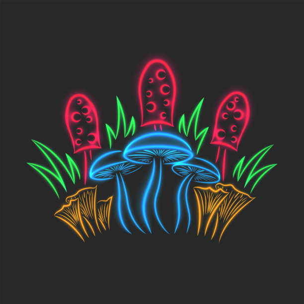 蘑菇的静物，发光的霓虹灯来自不同的蘑菇与草，明亮的印花衣服图片下载