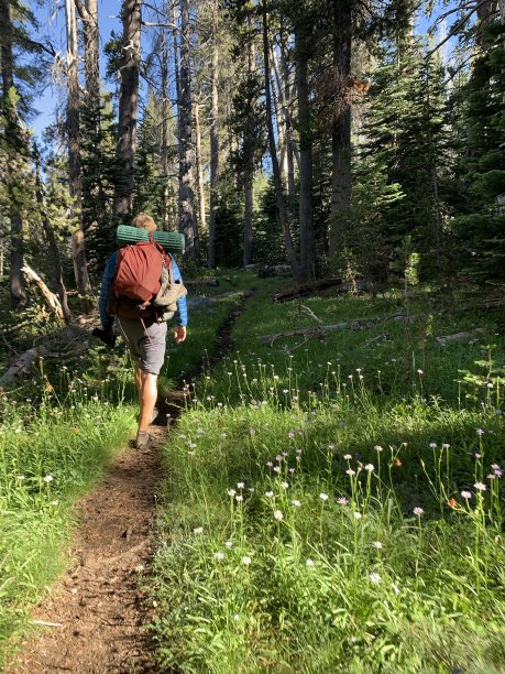背包客图片下载