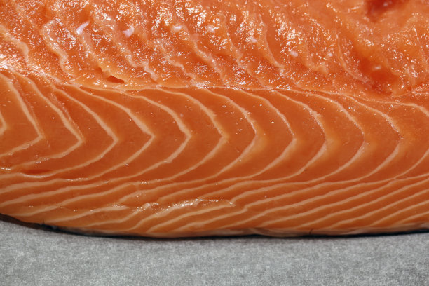 挪威三文鱼鱼片在一个彩色特写照片图片下载