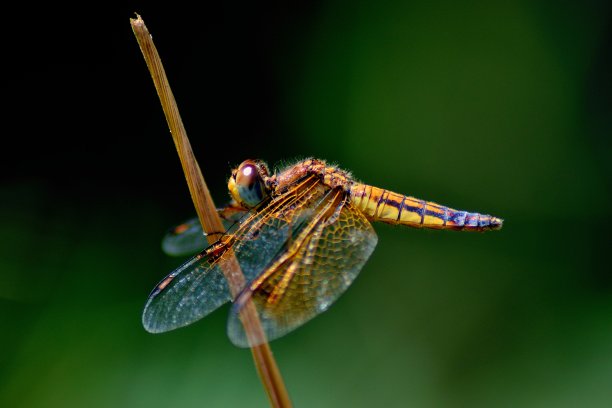 在忙碌的一天中休息图片下载