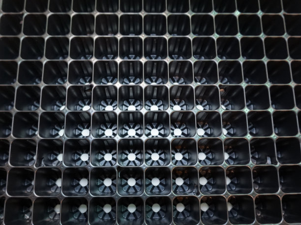 苗圃塑料托盘中幼苗空托盘，苗圃园艺图片下载