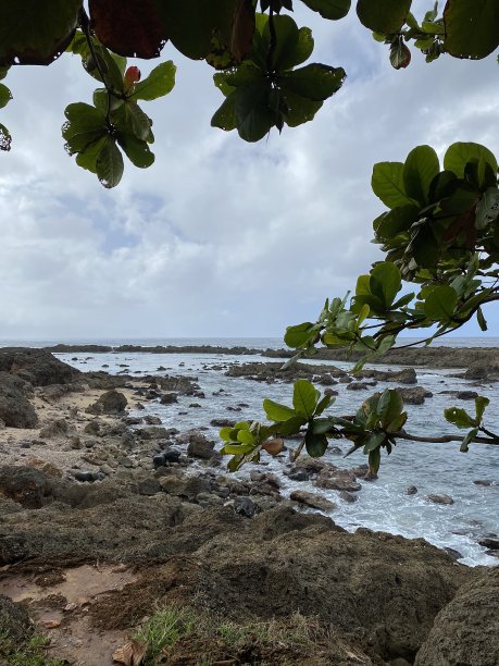 北海岸瓦胡岛夏威夷群岛股票照片图片下载