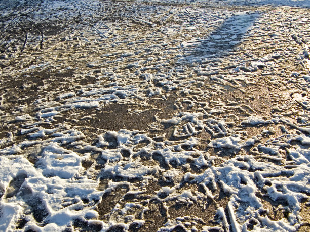 公园人行道上的雪印(图01)图片下载